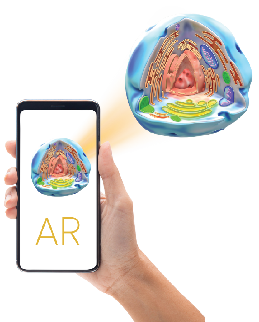 Augmented Reality (AR): Enhancing Classroom Immersion